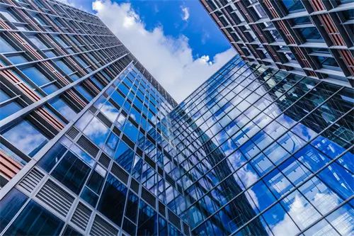 打工生活怎么养宠物好看